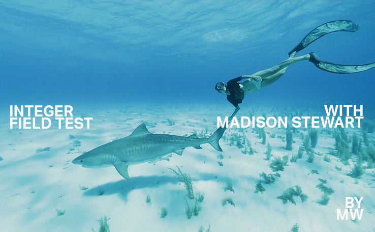 Ganzzahliger Feldtest